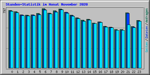 Stunden-Statistik im Monat November 2020