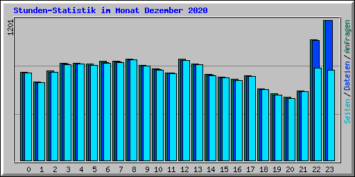 Stunden-Statistik im Monat Dezember 2020