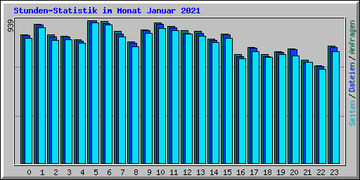Stunden-Statistik im Monat Januar 2021