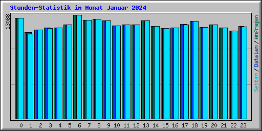 Stunden-Statistik im Monat Januar 2024
