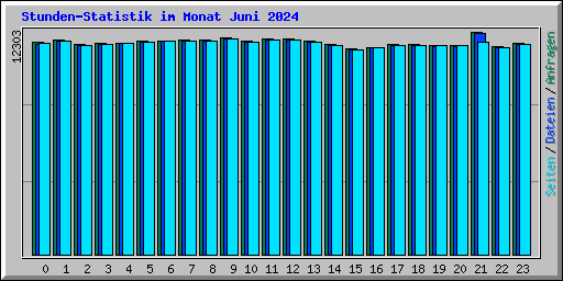 Stunden-Statistik im Monat Juni 2024