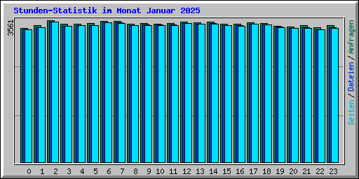 Stunden-Statistik im Monat Januar 2025