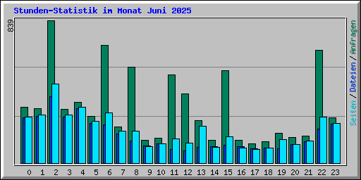 Stunden-Statistik im Monat Juni 2025