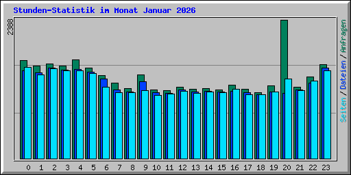 Stunden-Statistik im Monat Januar 2026